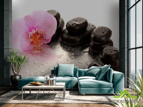 выбрать Фотообои Роса, камни, орхидеи Фотообои Цветы на стену