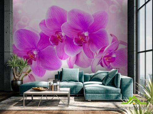 выбрать Фотообои Орхидеи Фотообои Цветы на стену