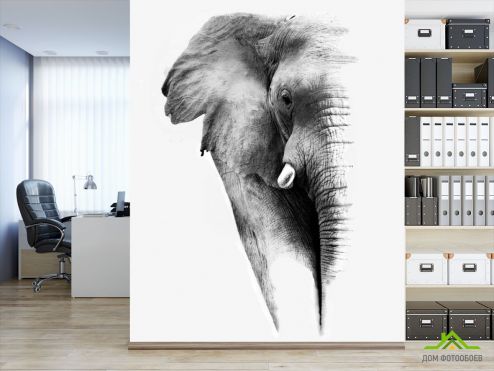 выбрать Фотообои Слон Фотообои Животные на стену