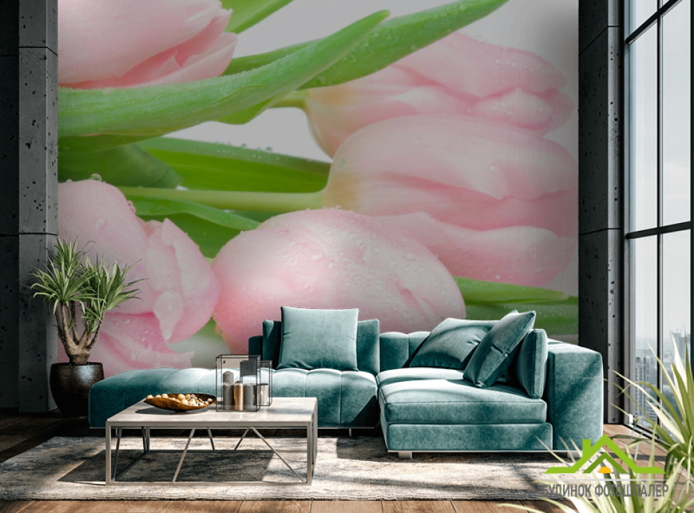выбрать Фотошпалери Рожеві тюльпани Каталог фотошпалер на стіну