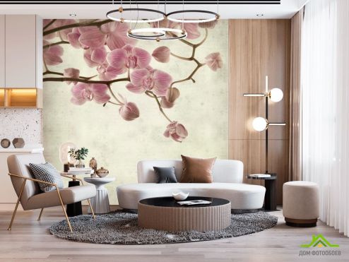 выбрать Фотообои Орхидеи кремово-серые Фотообои Цветы на стену