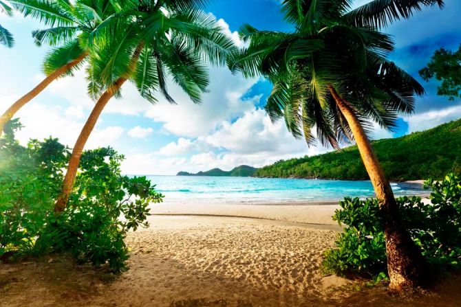 Фотошпалери Пляж і пальми
