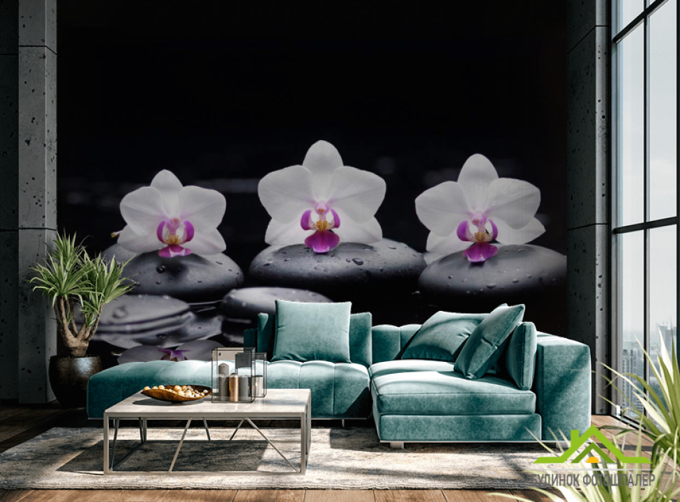 выбрать Фотошпалери Орхідея Каталог фотошпалер на стіну