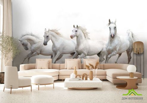 выбрать Фотообои четыре белые лошади Фотообои Животные на стену