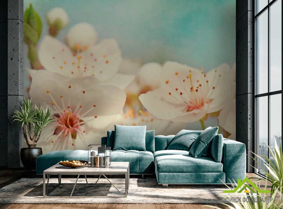 выбрать Фотообои Соцветия цветов черешни Каталог фотообоев на стену
