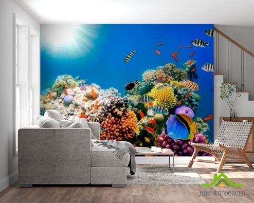 выбрать Фотообои Рыби в море Синие фотообои на стену