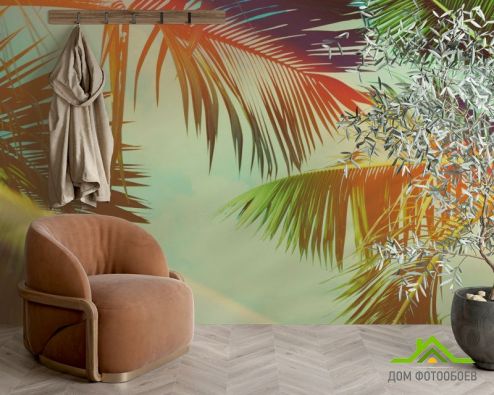 выбрать Фотошпалери пальмове листя Фотошпалери Фотошпалери Тропічні листя: квадратна, горизонтальна орієнтація на стіну