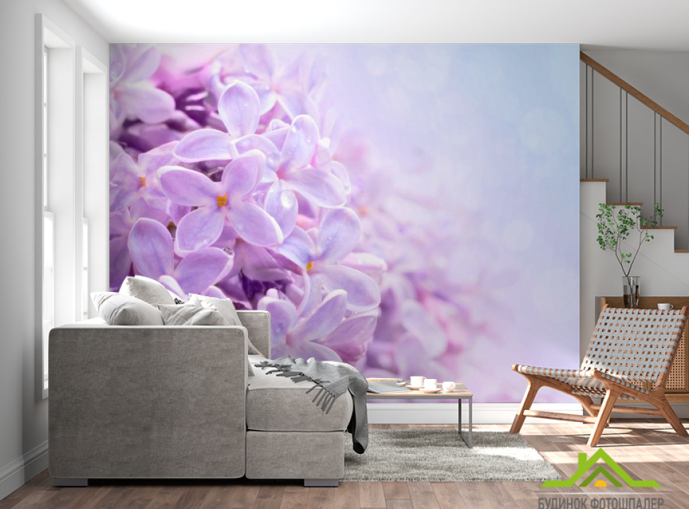 выбрать Фотообои Цветы сирени Каталог фотообоев на стену