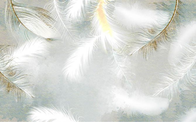 Фотообои Белые перья с золотом