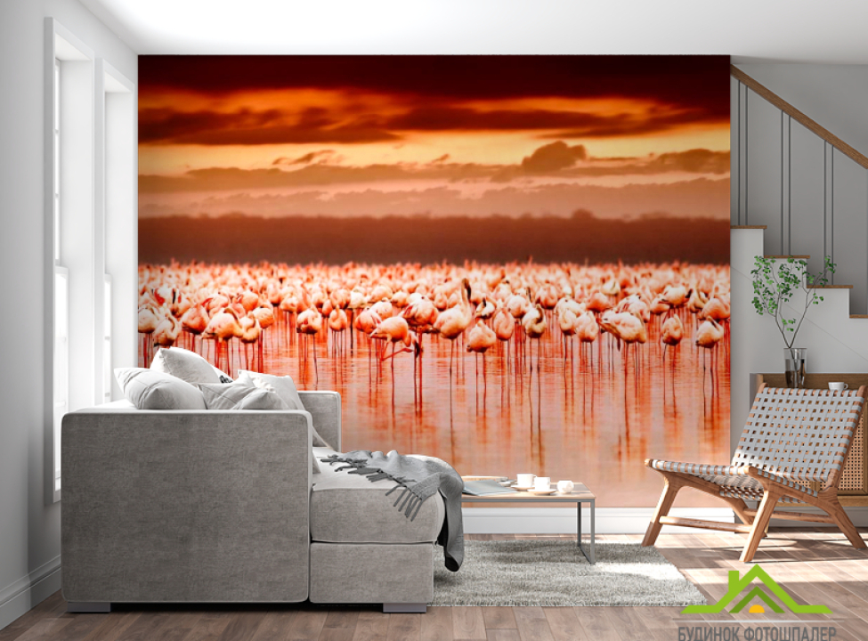 выбрать Фотошпалери Фламінго Каталог фотошпалер на стіну