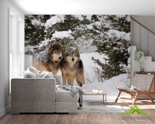 выбрать Фотообои Волки в снегу Фотообои, цвет: «горизонталная, горизонтальная» на стену