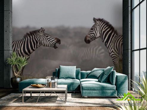 выбрать Фотообои Общение зебр Фотообои Животные на стену