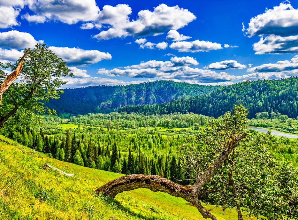выбрать Фотообои зелено-голубая природа Фотообои Природа на стену