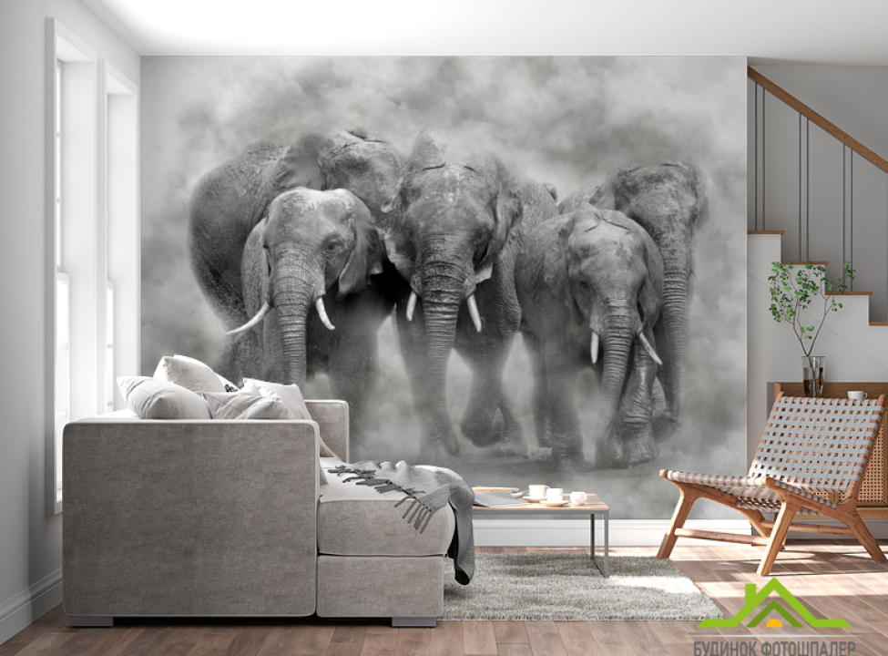 выбрать Фотошпалери слони Каталог фотошпалер на стіну