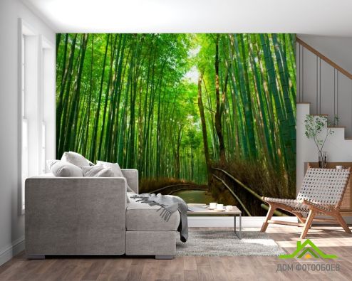 выбрать Фотообои Дорога, много бамбука Зеленые фотообои на стену