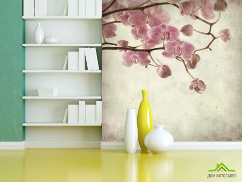 выбрать Фотообои Орхидеи кремово-серые Фотообои, цвет: «квадратная» на стену