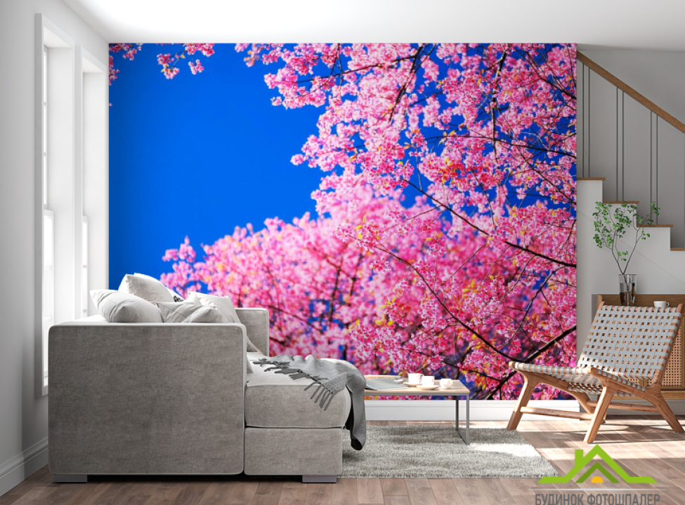 выбрать Фотошпалери Сакура цвіте Каталог фотошпалер на стіну