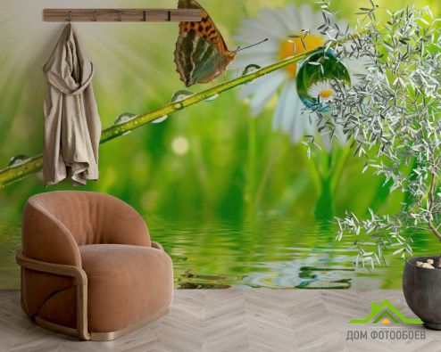 выбрать Фотообои Бабочка над водой Фотообои Фотообои Животные: горизонталная, горизонтальная, зелений, зеленый ориентация на стену