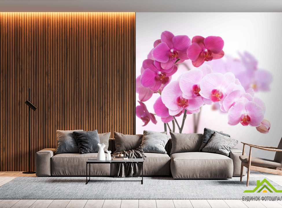 выбрать Фотошпалери Білі і рожеві орхідеї Каталог фотошпалер на стіну