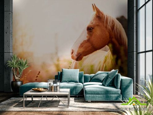 выбрать Фотообои Лошадь среди трав Фотообои Фотообои Животные: фото, горизонталная, горизонтальная  на стену