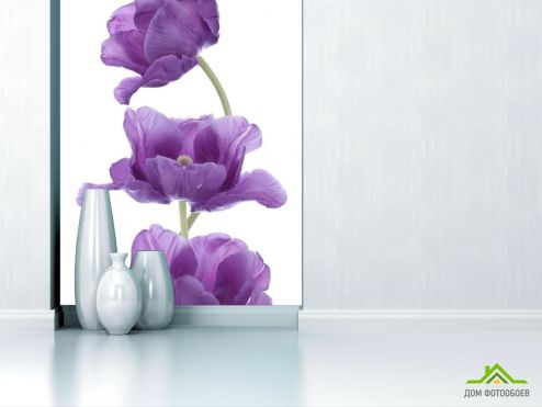 выбрать Фотообои фиолетовые тюльпаны Фотообои, цвет: «» на стену