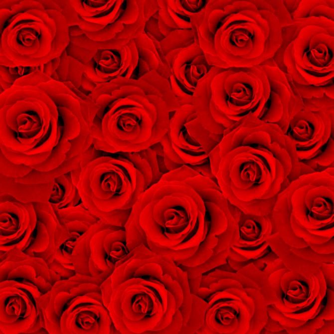 Фотошпалери Букет червоних троянд