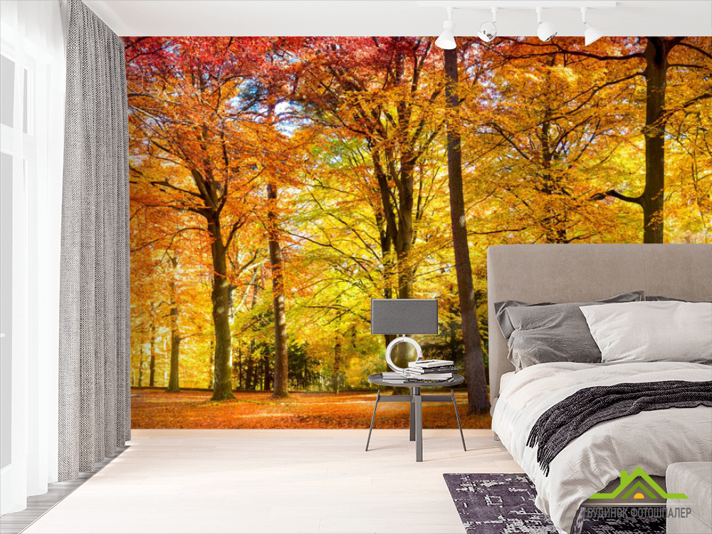 Фотообои осенний лес
