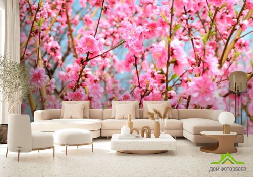 выбрать Фотообои Кипарис розовый Фотообои Розовые деревья на стену