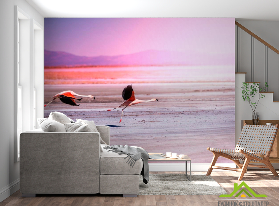 выбрать Фотошпалери Два фламінго Каталог фотошпалер на стіну
