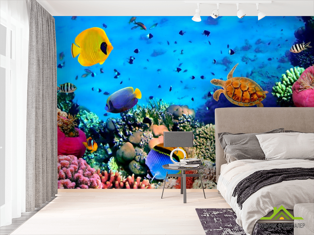 Фотообои Разнообрзие рыб