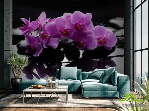 выбрать Фотообои Ветка орхидеи на камнях  на стену
