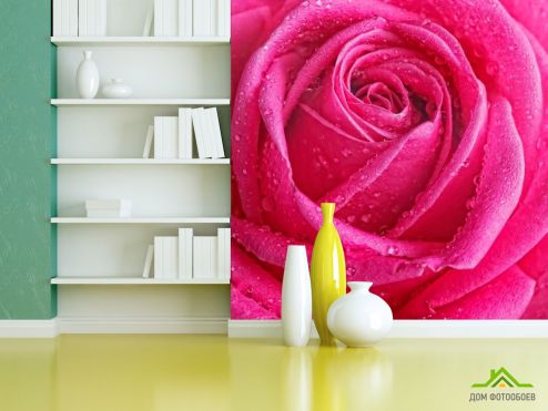 выбрать Фотообои Роса на бледной розе Розовые фотообои на стену
