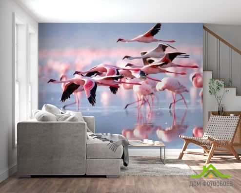 выбрать Фотообои Улетающие фламинго Фотообои Птицы  на стену