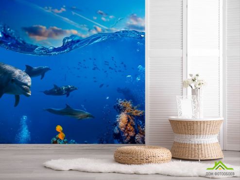 выбрать Фотообои Дельфины в море Фотообои Фотообои Животные: фото, голубой  на стену