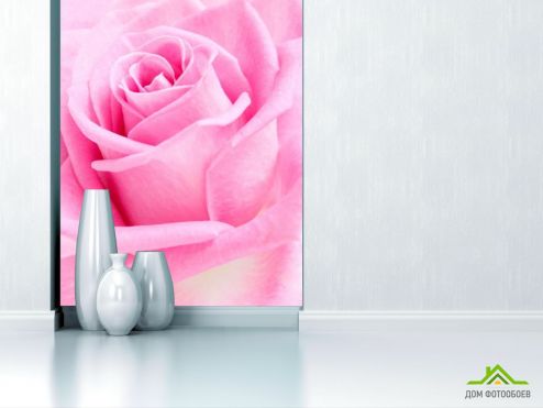 выбрать Фотошпалери Макро-зйомка троянди Рожеві фотошпалери на стіну