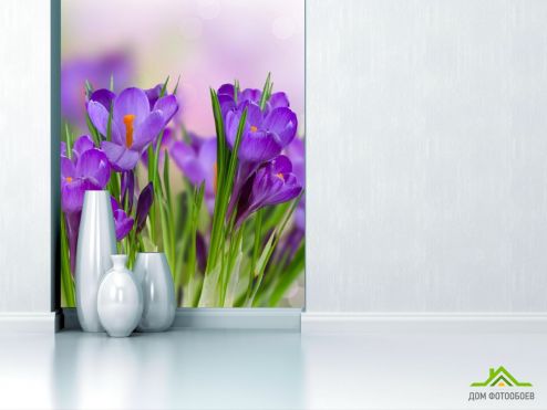 выбрать Фотошпалери фіолетові квіти в траві  на стіну