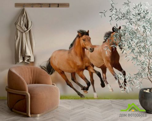 выбрать Фотообои Скачущие кони Фотообои Лошади на стену