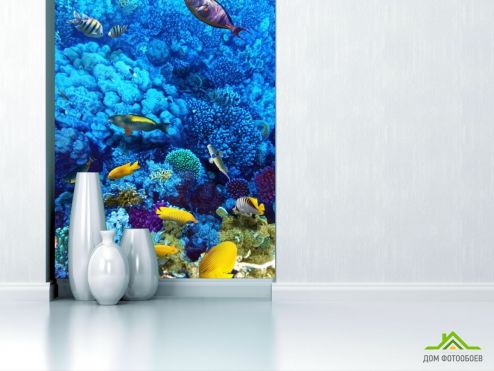 выбрать Фотообои Голубой подводный мир  на стену
