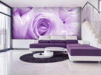 Перевтілення малогабаритної квартири: вибираємо шпалери