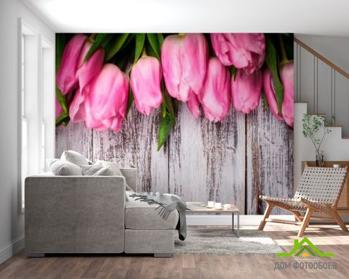 выбрать Фотообои Тюльпаны Фотообои Фотообои Тюльпаны: фото, горизонталная, горизонтальная  на стену