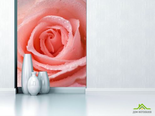 выбрать Фотошпалери Рожево-кремова троянда Фотошпалери Фотошпалери Троянди: вертикальна орієнтація на стіну