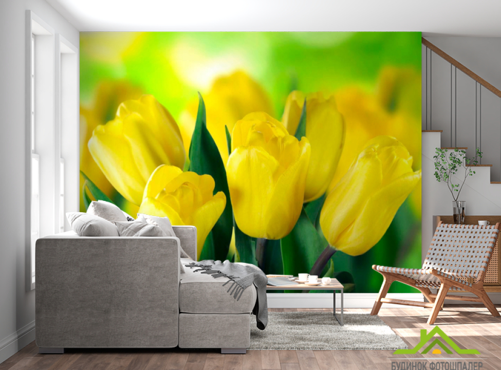 выбрать Фотошпалери Яскраво-жовті тюльпани Каталог фотошпалер на стіну