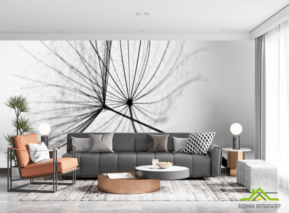 выбрать Фотошпалери насіння кульбаби Каталог фотошпалер на стіну