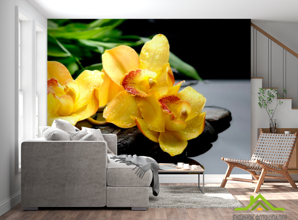 выбрать Фотошпалери Орхідея Каталог фотошпалер на стіну