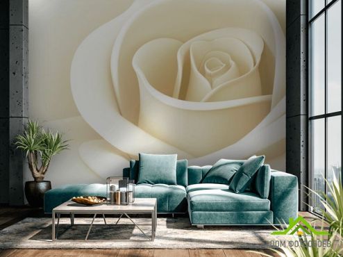 выбрать Фотошпалери біла троянда Фотошпалери Квіти на стіну