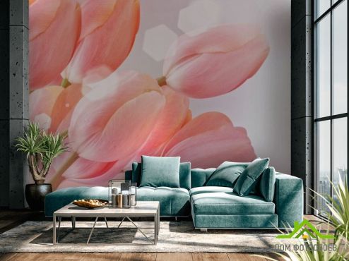 выбрать Фотообои розовые тюльпаны Фотообои Цветы на стену