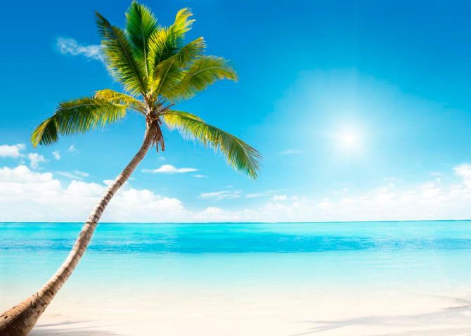 Фотошпалери Пальма, сонце, пляж