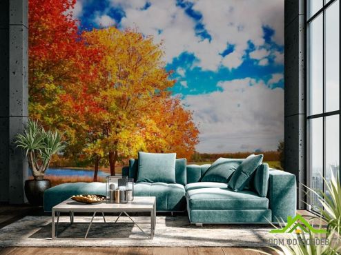 выбрать Фотообои Осень, деревья Фотообои Фотообои Природа: фото, оранжевый  на стену