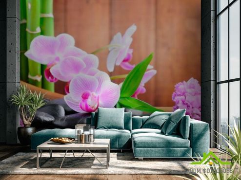 выбрать Фотообои Бледно-розовые орхидеи Фотообои Фотообои Цветы: фото, белая, коричневый  на стену