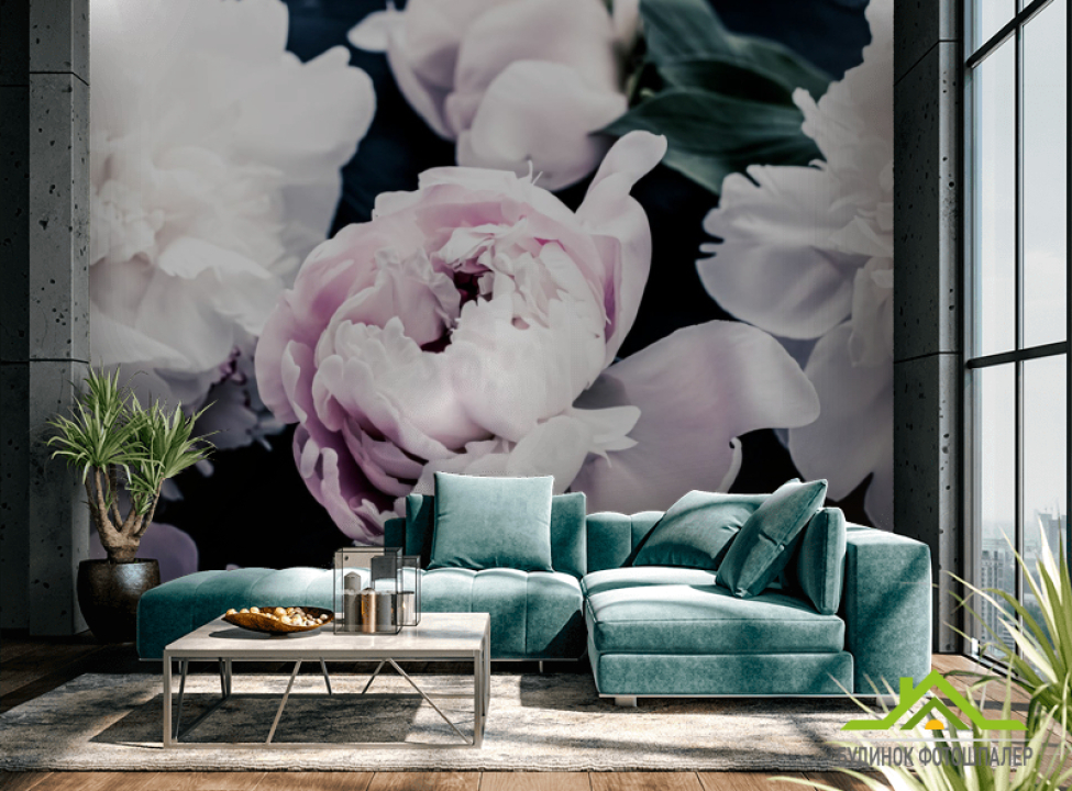 выбрать Фотообои Пионы на тёмном Каталог фотообоев на стену